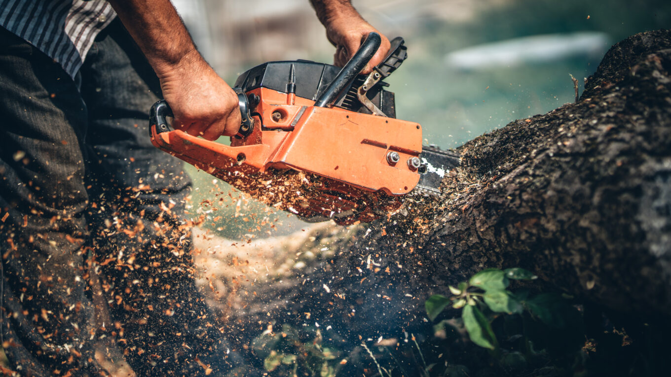 najlepsze piły łańcuchowe Stihl